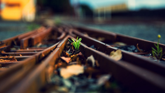 Train tracks plant bokeh aurora free wallpaper for desktop - medium preview image