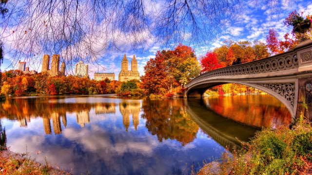 Bridge river city trees autumn free wallpaper for desktop - medium preview image