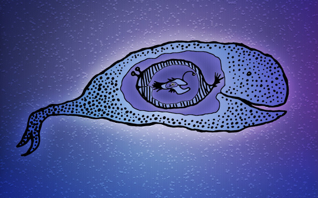 Fish eye fish purple dots free wallpaper for desktop - medium preview image