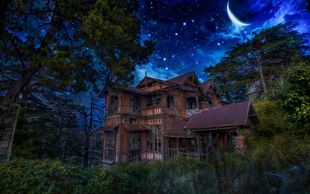 House woods night sky stars free wallpaper for desktop - medium preview image