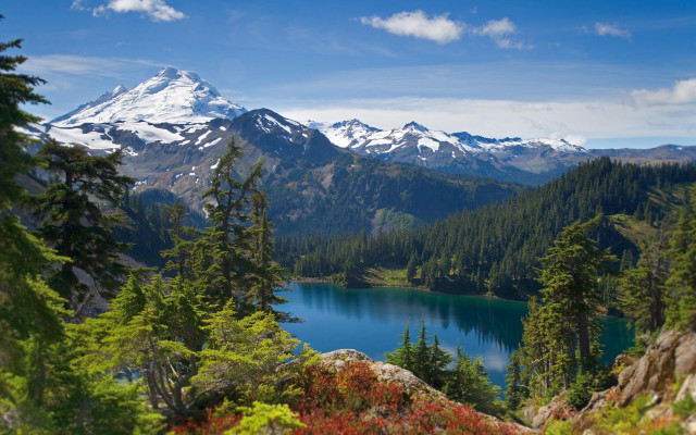 Mountain lake forest flower horizon #2 free wallpaper for desktop - medium preview image