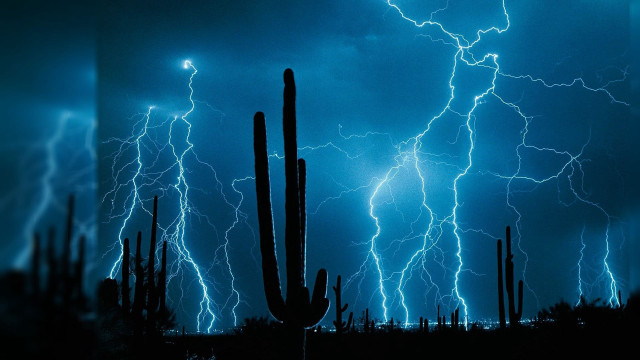 Cactus tree lightning dark sky free wallpaper for desktop - medium preview image