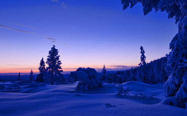 Snowy landscape trees sunset blue #2 free wallpaper for desktop - medium preview image