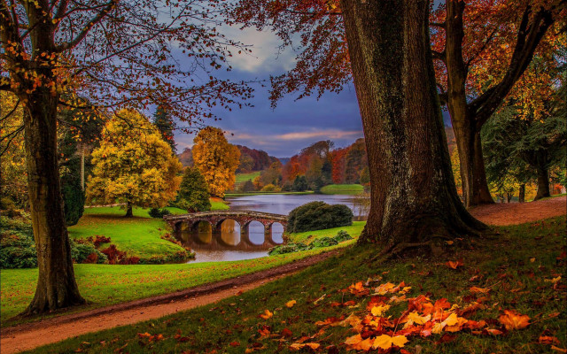Autumn bridge river trees leaves free wallpaper for desktop - medium preview image