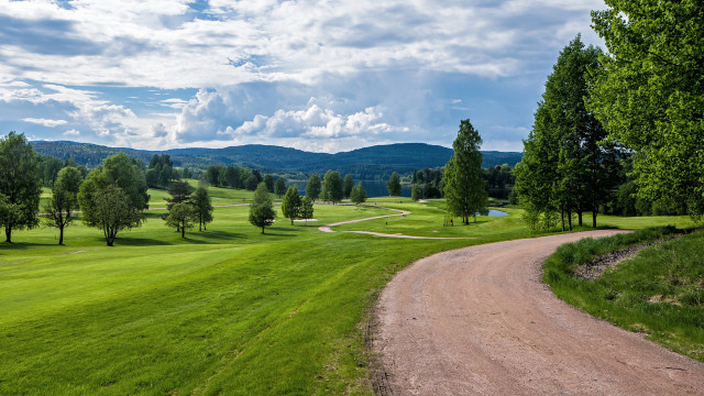 Dirt road green field forest #3 free wallpaper for desktop - medium preview image