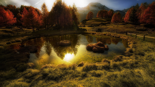 Pond grass trees sun mountains free wallpaper for desktop - medium preview image