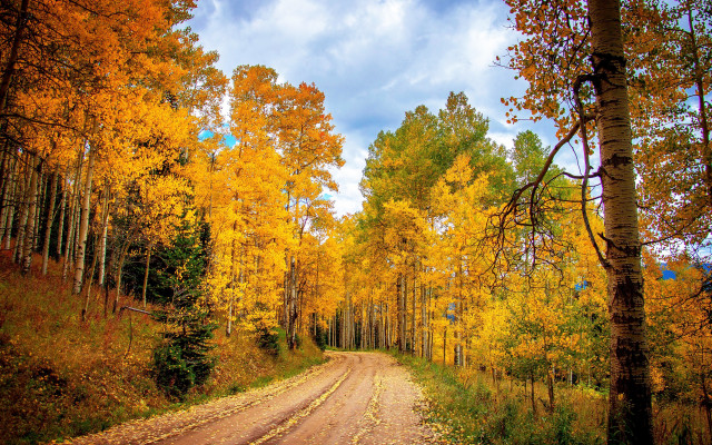 Dirt road yellow leaves blue free wallpaper for desktop - medium preview image