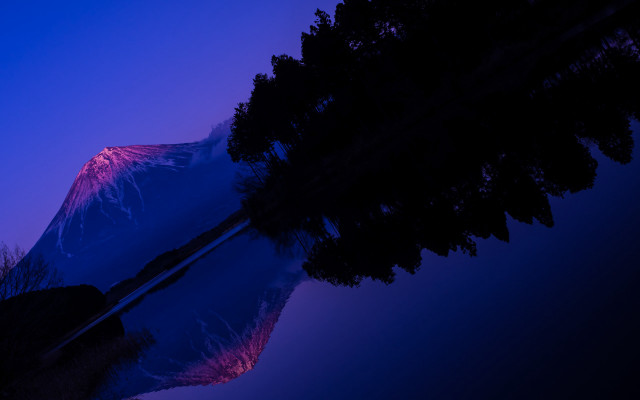 Purple sky matte tree fireworks free wallpaper for desktop - medium preview image