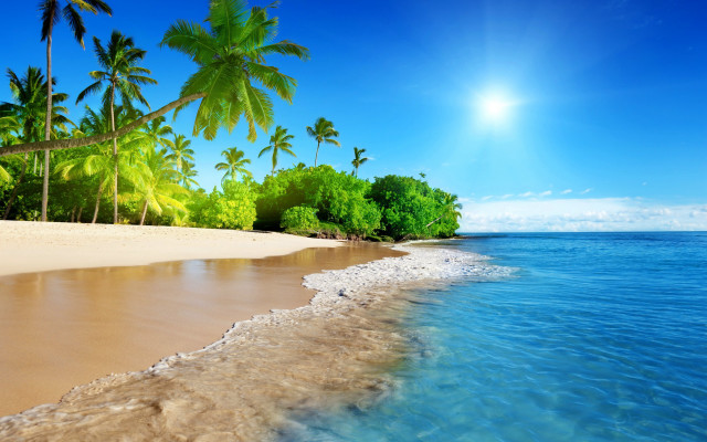 Beach trees water sun blue free wallpaper for desktop - medium preview image