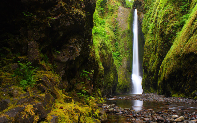 Waterfall canyon moss rocks nature free wallpaper for desktop - medium preview image