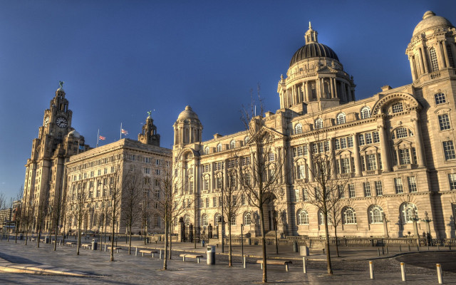 Large building clock tower trees free wallpaper for desktop - medium preview image