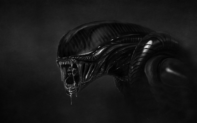 Alien head armor sword greyscale free wallpaper for desktop - medium preview image