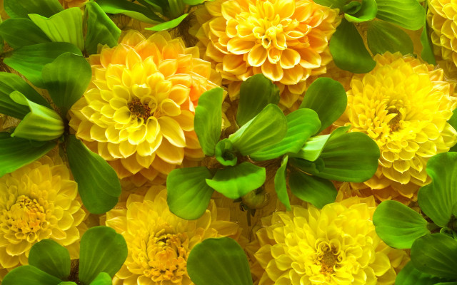 Yellow flower bee digital rendering free wallpaper for desktop - medium preview image