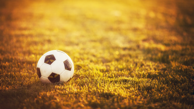 Soccer ball green field sunshine free wallpaper for desktop - medium preview image