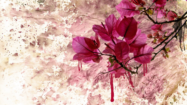 Pink flower blooming hanami branch free wallpaper for desktop - medium preview image