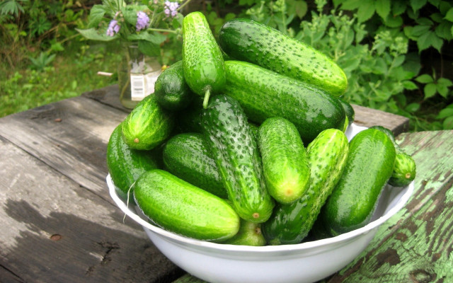 Bowl cucumbers wooden table sunflower free wallpaper for desktop - medium preview image