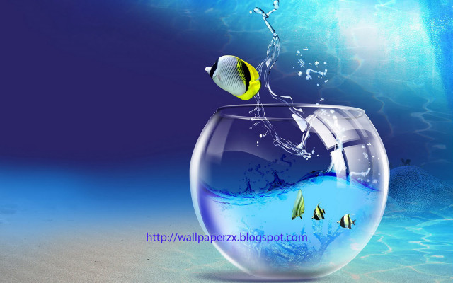 Fish jumping bowl ocean blue free wallpaper for desktop - medium preview image
