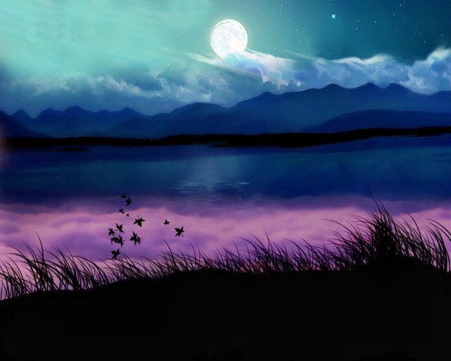 Lake full moon birds flying free wallpaper for desktop - medium preview image