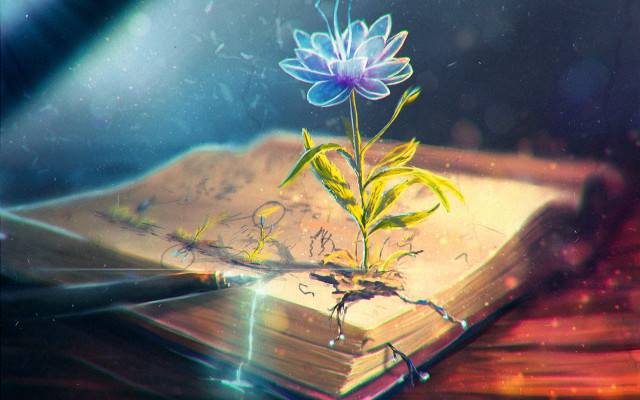 Book flower table fantasy night free wallpaper for desktop - medium preview image