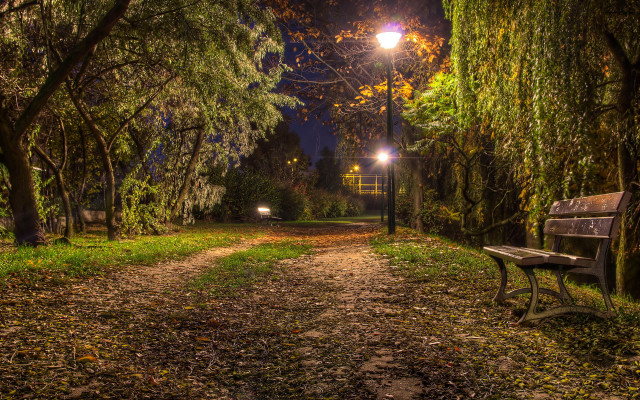 Park bench leafy path night free wallpaper for desktop - medium preview image