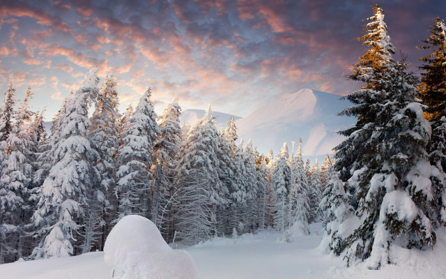 Snowy forest mountain sunset clouds free wallpaper for desktop - medium preview image