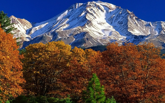 Snowy mountain orange trees night free wallpaper for desktop - medium preview image