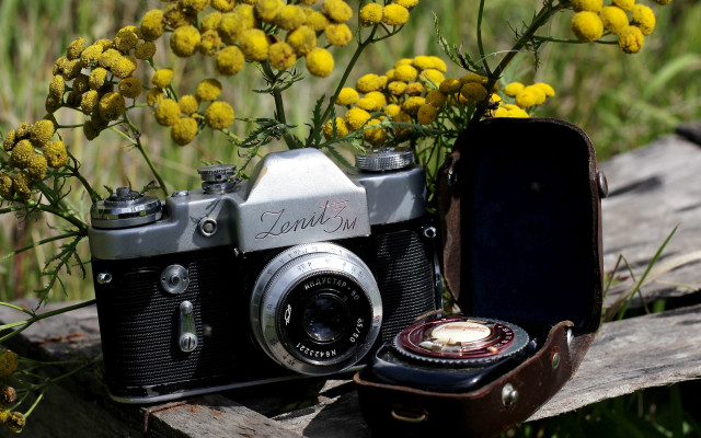 Camera case flowers field stilllife free wallpaper for desktop - medium preview image