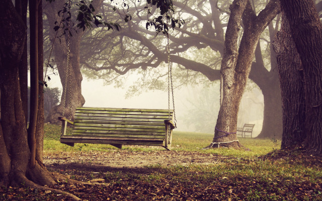 Wooden bench forest swing magical free wallpaper for desktop - medium preview image