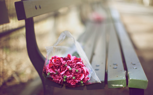 Flowers bench sunny blurry bouquet free wallpaper for desktop - medium preview image