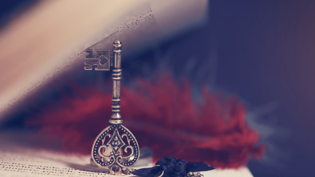 Metal bird feather assemblage sunset free wallpaper for desktop - medium preview image