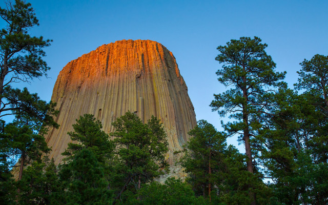 Tall rock trees blue sky free wallpaper for desktop - medium preview image