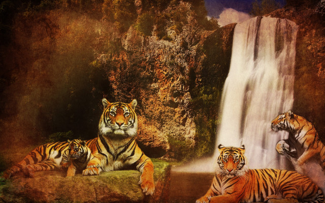 Tiger waterfall pop surrealism matte free wallpaper for desktop - medium preview image
