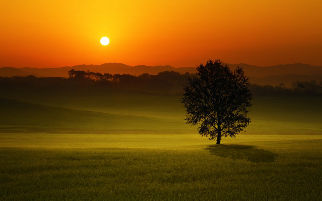 Lone tree sunset mountains forest free wallpaper for desktop - medium preview image