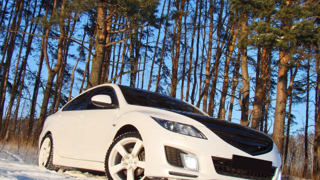 White car snow forest pine free wallpaper for desktop - medium preview image