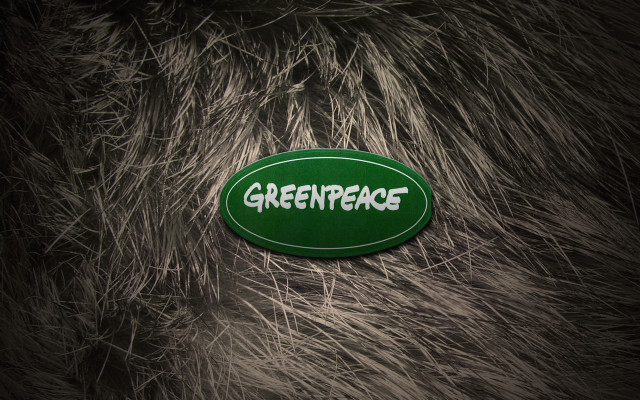 Greenpeace sticker furry animal nature free wallpaper for desktop - medium preview image
