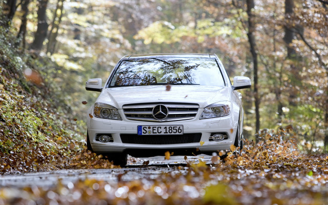 White mercedes autumn leaves blurry free wallpaper for desktop - medium preview image