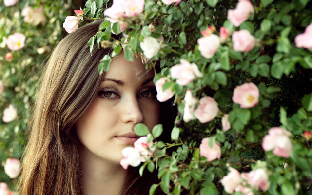 Woman flower bush wind blurry free wallpaper for desktop - medium preview image