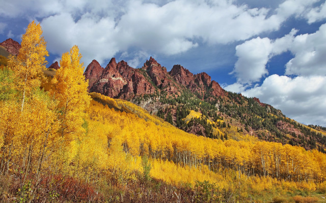 Mountain forest autumn leaves cloudy free wallpaper for desktop - medium preview image