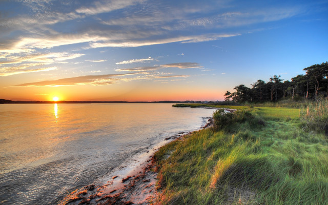 Sunset water grassy shore trees free wallpaper for desktop - medium preview image
