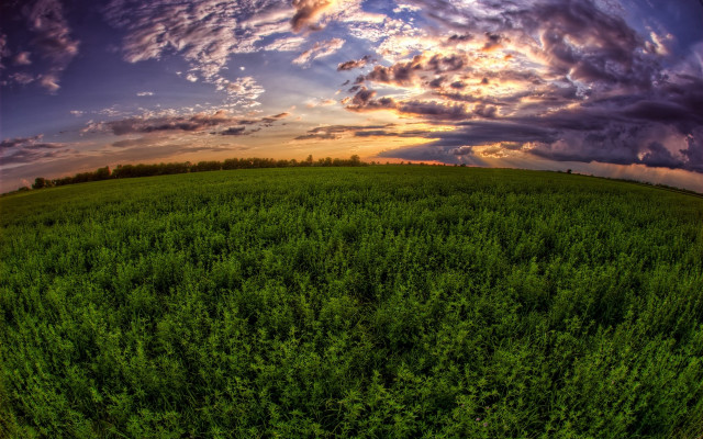 Field sunset clouds trees mountains free wallpaper for desktop - medium preview image