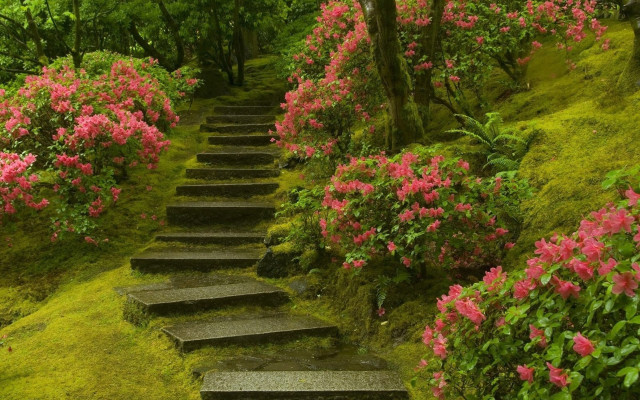 Lush hillside flower path puzzle free wallpaper for desktop - medium preview image