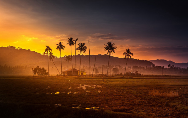 Palm trees house sunset mountains free wallpaper for desktop - medium preview image