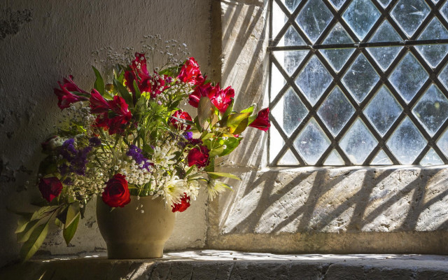 Vase flowers window ledge latticed free wallpaper for desktop - medium preview image