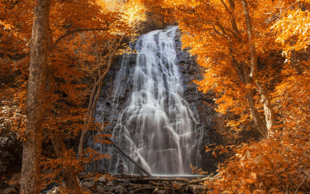 Waterfall trees orange leaves forest free wallpaper for desktop - medium preview image