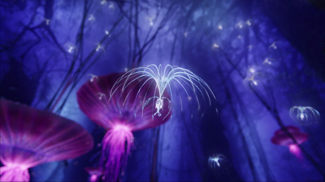 Purple forest fireworks butterflies hologram free wallpaper for desktop - medium preview image