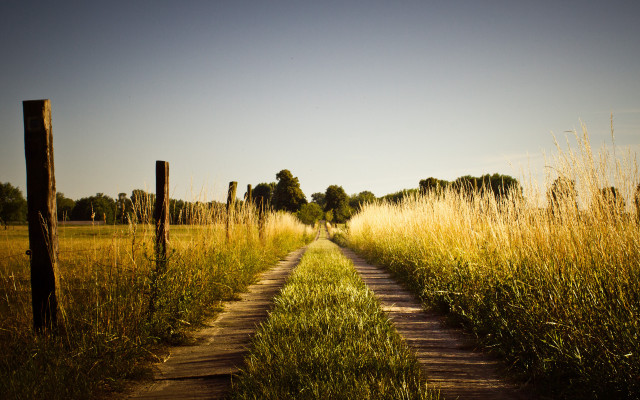 Dirt road tall grass fence #2 free wallpaper for desktop - medium preview image