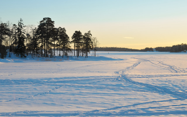 Snowy field forest trail winter free wallpaper for desktop - medium preview image
