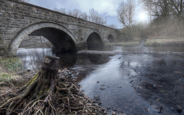 Bridge river tree stump fantasy free wallpaper for desktop - medium preview image