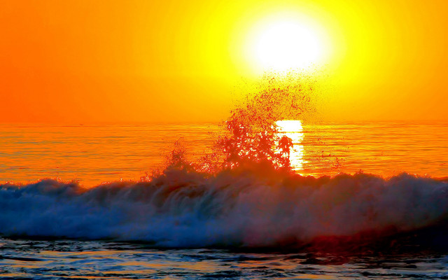 Sunset wave tree yellow sky free wallpaper for desktop - medium preview image