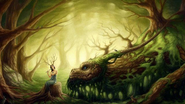 Woman dragon face forest stump free wallpaper for desktop - medium preview image